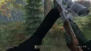 НЕ МНОГО DayZ