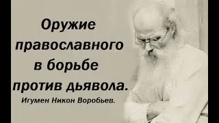 Эта борьба не прекратится до самого конца. Игумен Никон Воробьев.