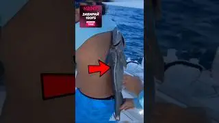 Остерегайтесь этой рыбы!😱🐟