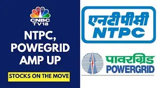 Power Grid Ups FY25 Capex Target To Rs 18,000 Cr, NTPC On Track To Add 26 GW By 2032: Stocks Jump