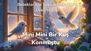 Mini Mini Bir Kuş Konmuştu - Bebekler İçin Sakinleştirici Ninni | Uyku Müziği