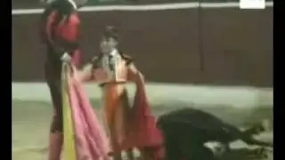 Que opina mockus del respeto a los animales