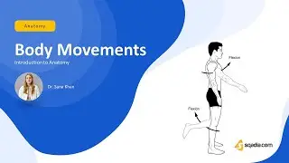 Introduction to Anatomy | BODY MOVEMENTS for Medical School Students