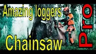 Best professional chainsaw. Professional Chainsaws - Heavy Duty Chainsaws.