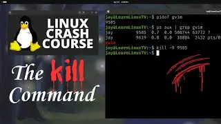 How to use the kill command in Linux (Linux Crash Course Series)