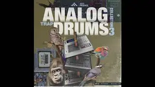 Analog Trap Drum Samples - Analog Trap Drums Vol. 3 Trap Drum Kit