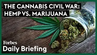 The Cannabis Civil War: Hemp vs. Marijuana