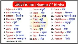 Names of Birds in hindi and english |पक्षियों के नाम|Birds names in english|Names of birds in Hindi