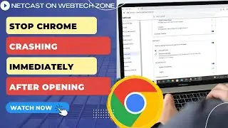 How to Stop Google Chrome From Closing Itself and Stop Chrome Crashing Immediately After Opening