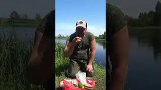 Пожрать на рыбалке, самое то ч.2. #fish #fishing #рыбалка #spinningsolo #мукбанк #mukbang