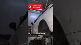 Haval Jolion проблемы с подвеской. 