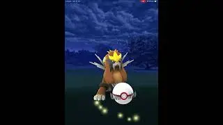 SHINY ENTEI POKEMON GO