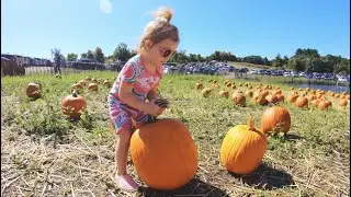 Top Top Avery goes to pumpkin patch to play hide and seek in Halloween time