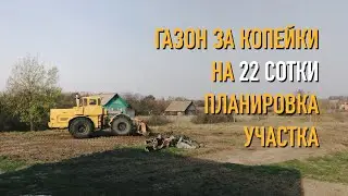 Планировка участка. Ландшафтный дизайн и доступный газон.