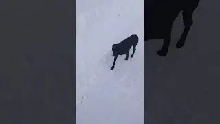 Ну ка дай пройти!