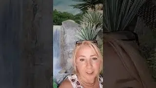 Как раскрыть свое предназначение   видео отзыв от Инны