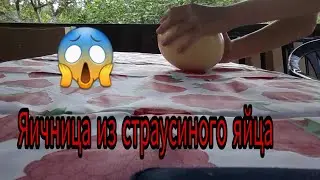 😱ЯИЧНИЦА ИЗ СТРАУСИНОГО ЯЙЦА😱 / ¿чего?