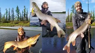 Cеверные щуки, бешеный клёв и приключения на Ямале - ч1. Crazy pikes, crazy fishing Russia Yamal  p1