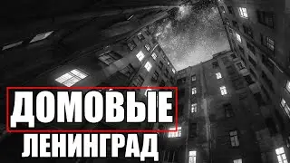 Страшные истории. ДОМОВЫЕ. Ленинград. Часть 14.