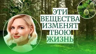 Эти вещества изменят твою жизнь