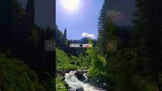 поставь лайк если все нашёл #shorts #subscribe #рекомендации #тикток #а4 #ледидиана #speedup