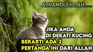 Jika Anda Didekati Kucing, Ada 3 Pertanda ini Dari Allah | Masyaallah..