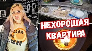 НЕХОРОШАЯ КВАРТИРА во всей красе ! Гарри Поттер заезжал в гости