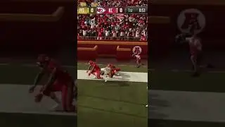 INSANE ONE HANDED CATCH IN MADDEN