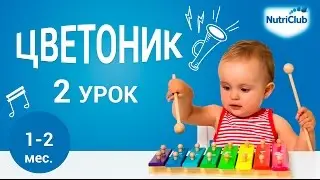 Зарядка, кормление и колыбельная. Развитие ребенка 1-2 месяцев по методике 