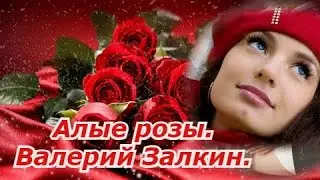 Алые розы. Залкин Валерий.