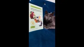 Книга по птицеводству Зеленова С.Г. «Кормление и содержание высокопродуктивных яичных кур»