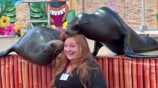 El Dorado County Fair 2022