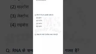 NEET 2024 Chemistry HINDI NEET 2024 Chemistry | NEET 2024 