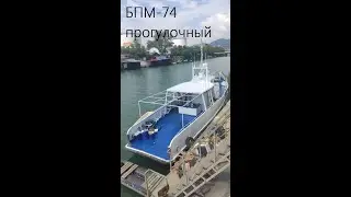 Прогулочный БПМ-74