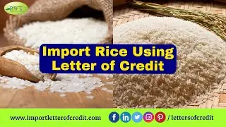 How to Import Rice | Letter of Credit | LC Payment | LC Process