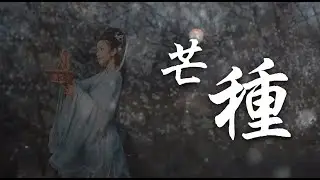 芒種 趙方婧  【完整MV】/Everything is causal /Mang zhong/chinese dance/Chinese elegant classical woman