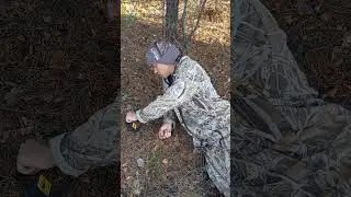 даже обыкновенная мышеловка спасет вам жизнь в лесу
