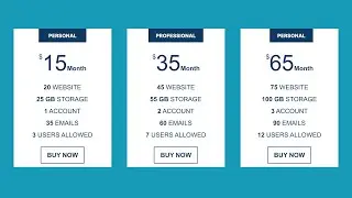 Responsive Pricing Table Using HTML & CSS