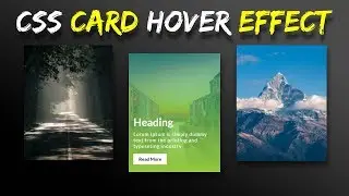 CSS Card Hover Effects | Html CSS