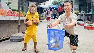 Cutis Take Tu Go Market & Excited With Happy Loving Meal After Many Days Alone