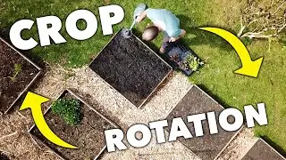 The Step By Step Guide to Crop Rotation