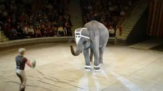 The elephant plays a lip harmonic. Слон играет на губной гармошке.