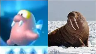 Mario Enemies And Their Real Life Counterparts Part 2