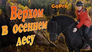 Верхом в осеннем лесу. Конная прогулка от первого лица. GoPro.