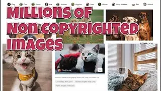How To Find Free Non-copyrighted Images For Wordpress Site