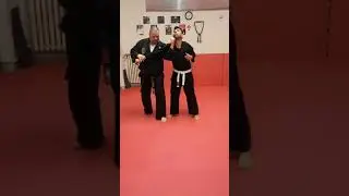 COMBAT JU-JITSU WSDA/JUJUTSU METODO KENPO BUDOKAN AREZZO ARTI MARZIALI MAESTRO 6° DAN LUCIO PICCIOLI
