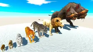 The Evolution Of Tiger Into Three-Headed Dog And The Battle With Dinosaurs + Animals