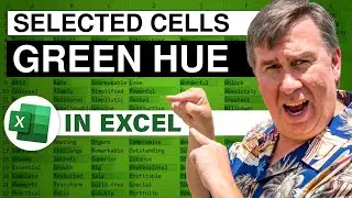 Excel - How To Change The Cell Selection Color In Excel - Episode 1913