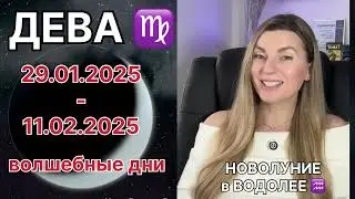 ДЕВА ♍️ НОВОЛУНИЕ в ВОДОЛЕЕ. 29 января - 11 ФЕВРАЛЯ ВОЛШЕБНЫЕ ДНИ!