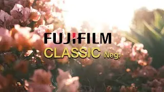 FUJIFILM Classic Negative - How good is it?